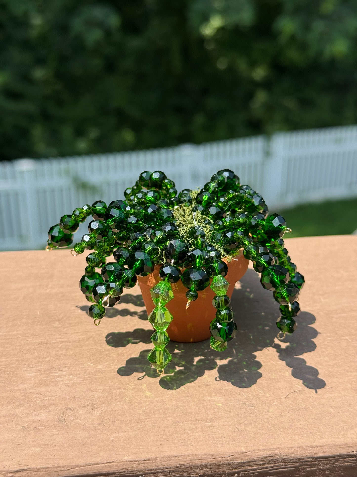Beaded plants