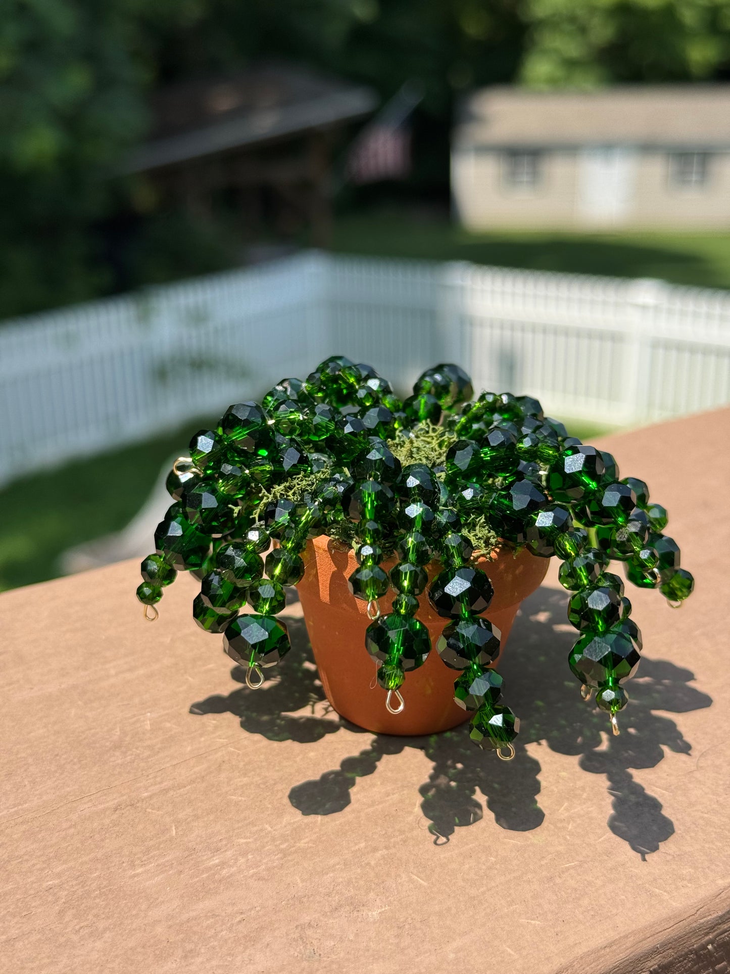 Beaded plants
