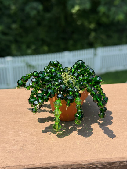 Beaded plants