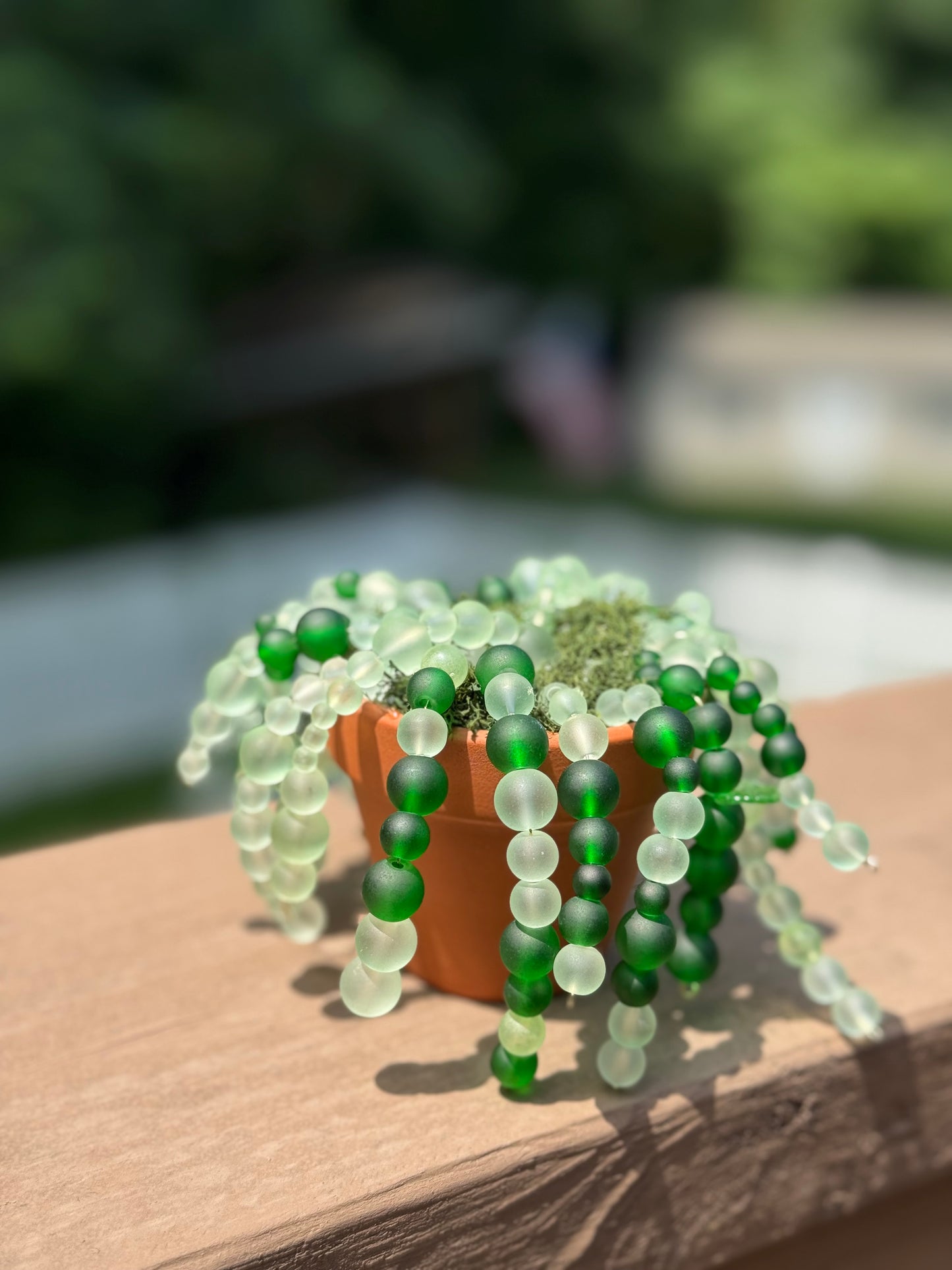 Beaded plant