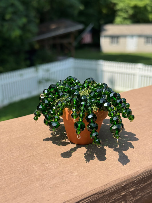 Beaded plants