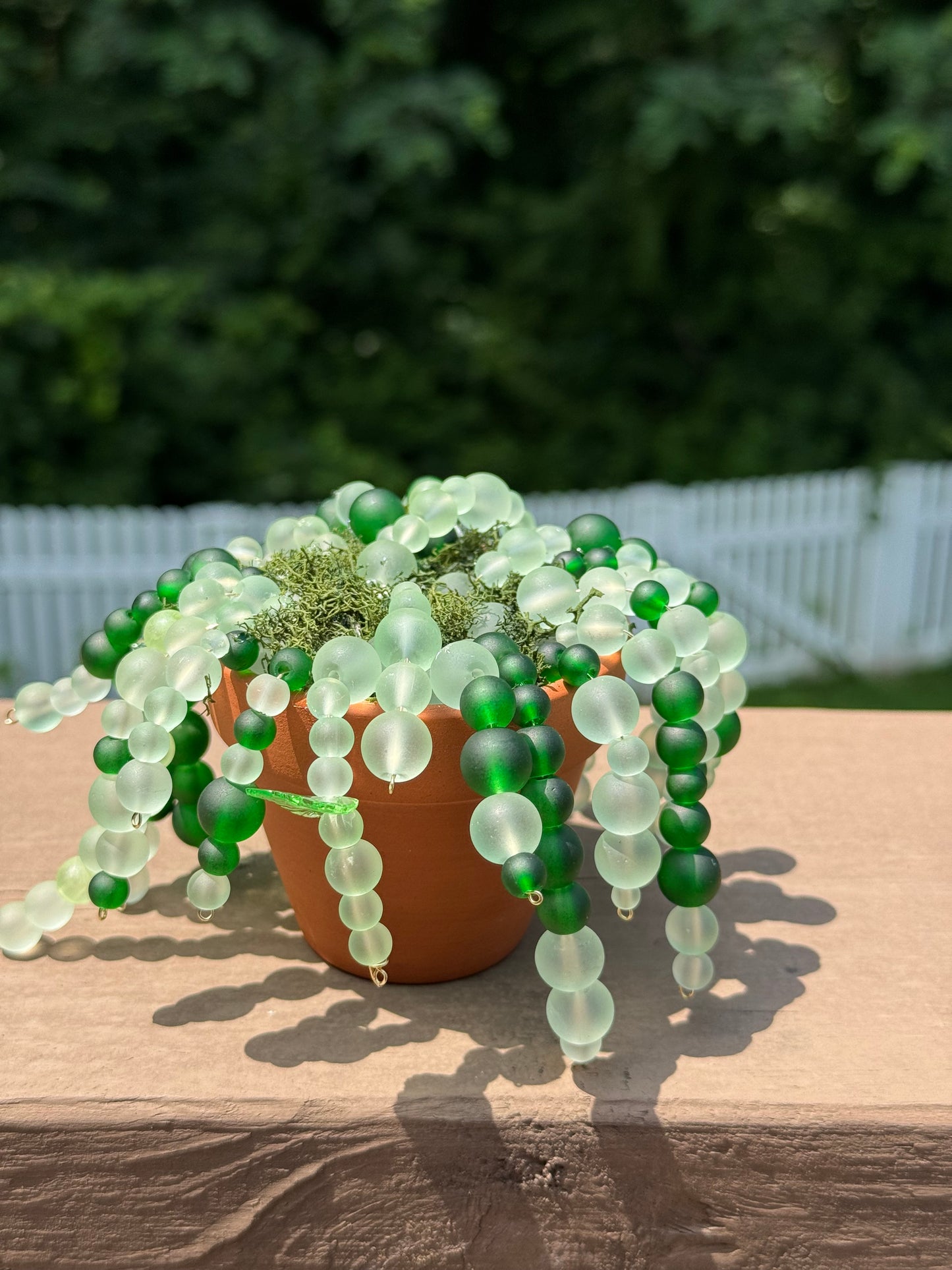 Beaded plant